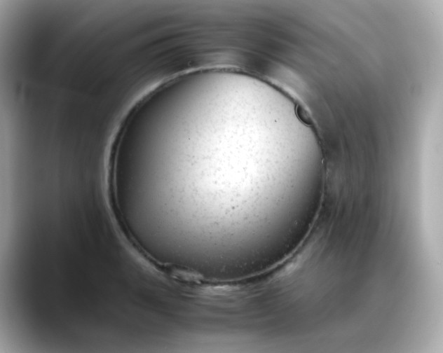 X0000088421135200706051207