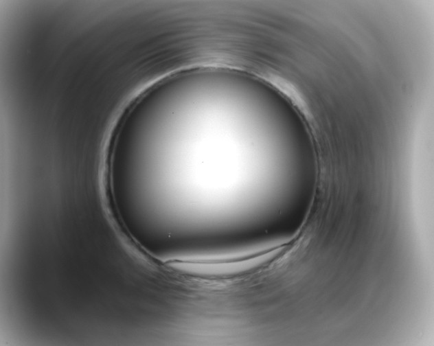 X0000088421136200706051207