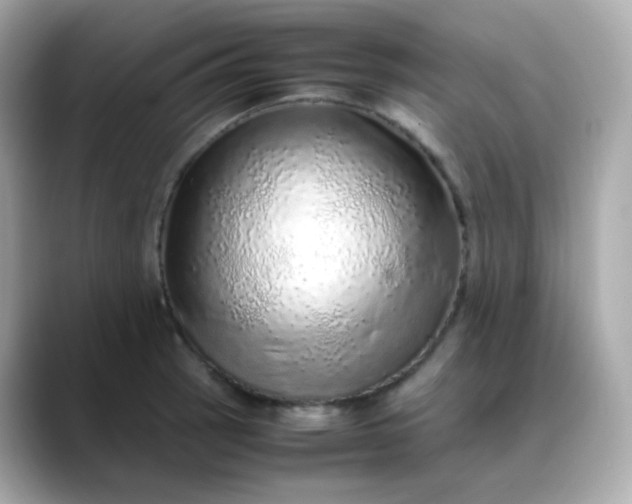 X0000088421137200706051207