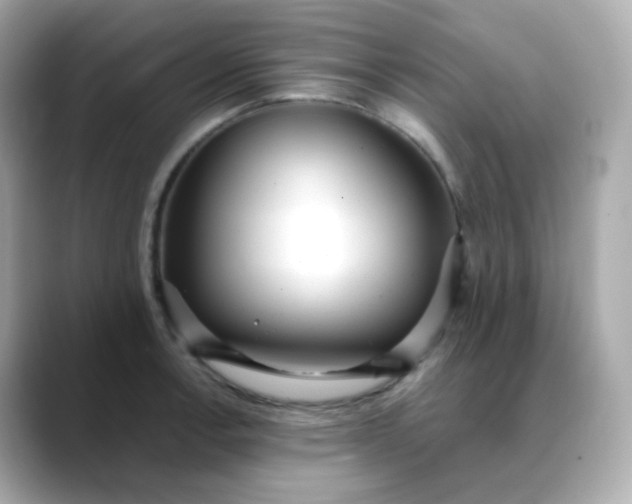 X0000088421138200706051207
