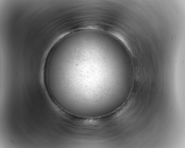 X0000088421139200706051207