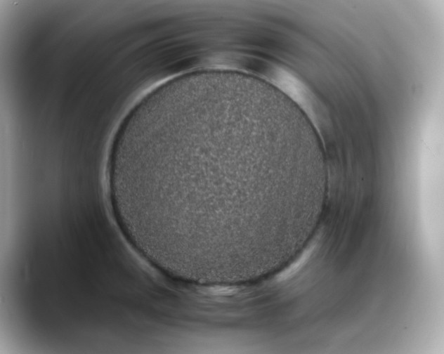 X0000088421141200706051207