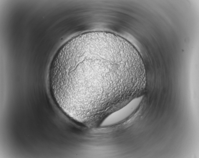 X0000088421142200706051207