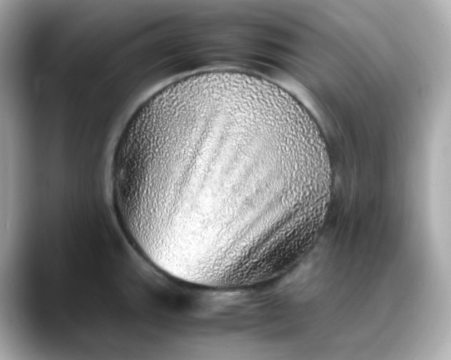 X0000088421143200706051207