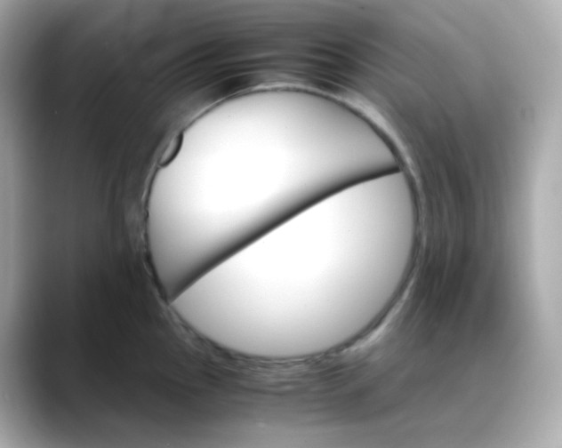 X0000088421145200706051207