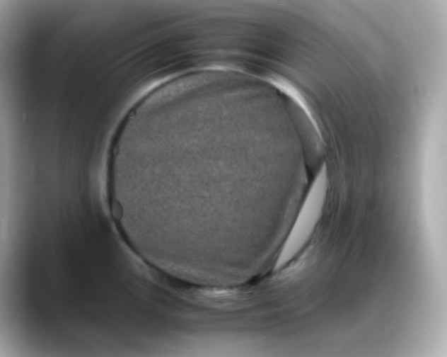 X0000088421147200706051207