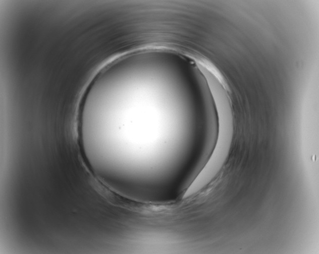 X0000088421148200706051207
