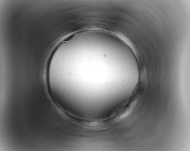 X0000088421149200706051207