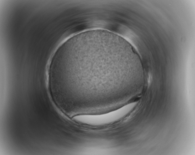 X0000088421151200706051207