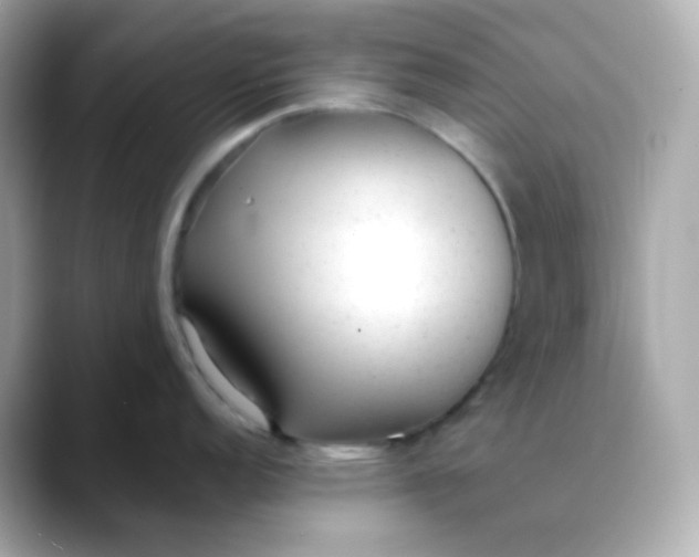 X0000088421152200706051207