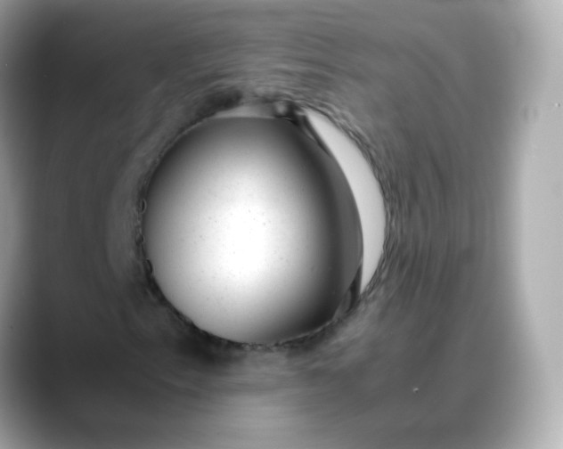 X0000088421153200706051206