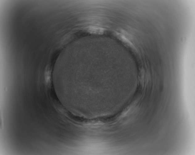 X0000088421154200706051206