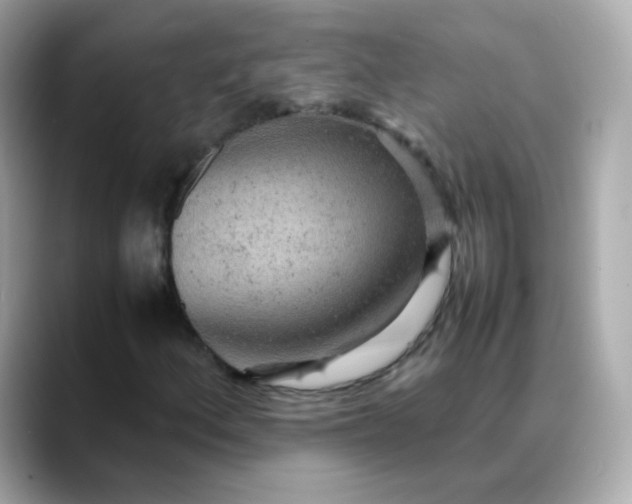 X0000088421156200706051206