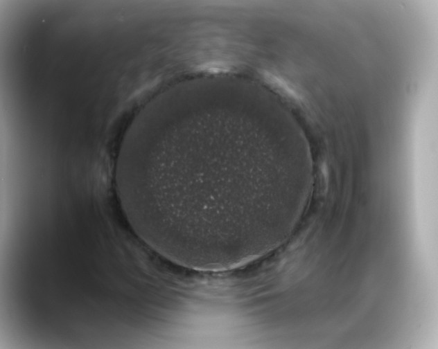 X0000088421158200706051206