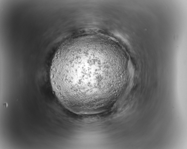 X0000088421159200706051206