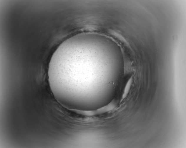 X0000088421160200706051206