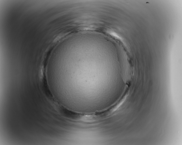 X0000088421161200706051206