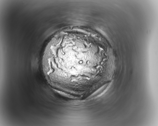 X0000088421163200706051206