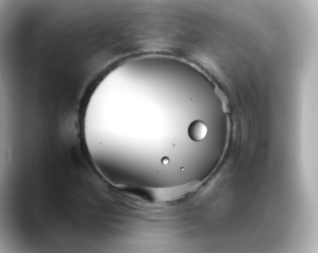 X0000088421164200706051206
