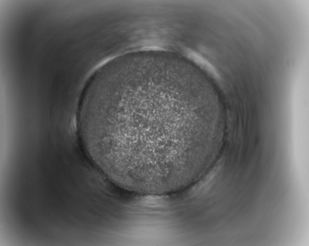 X0000088421166200706051206