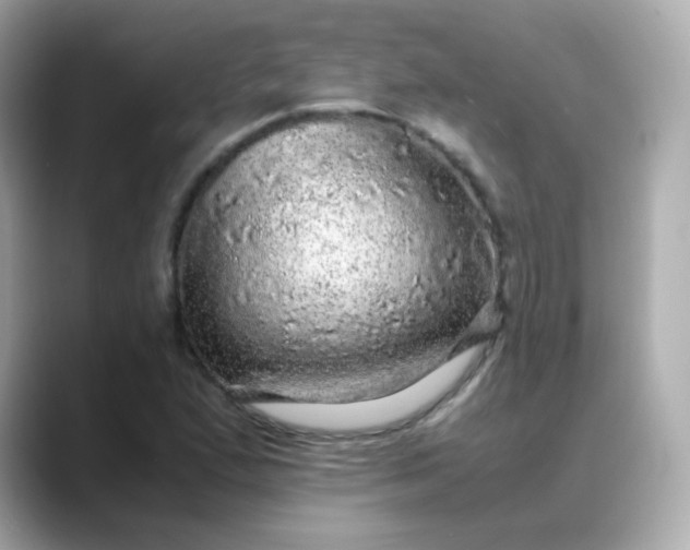 X0000088421167200706051206
