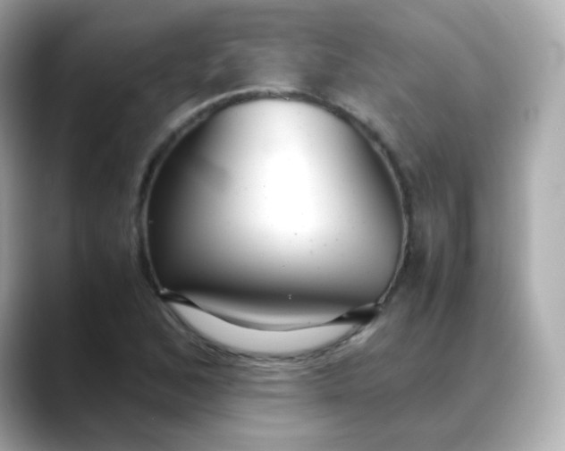 X0000088421168200706051206