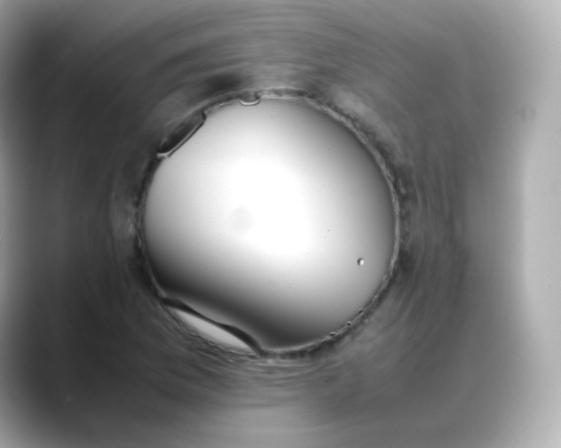 X0000088421169200706051206