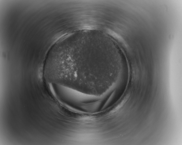 X0000088421170200706051206