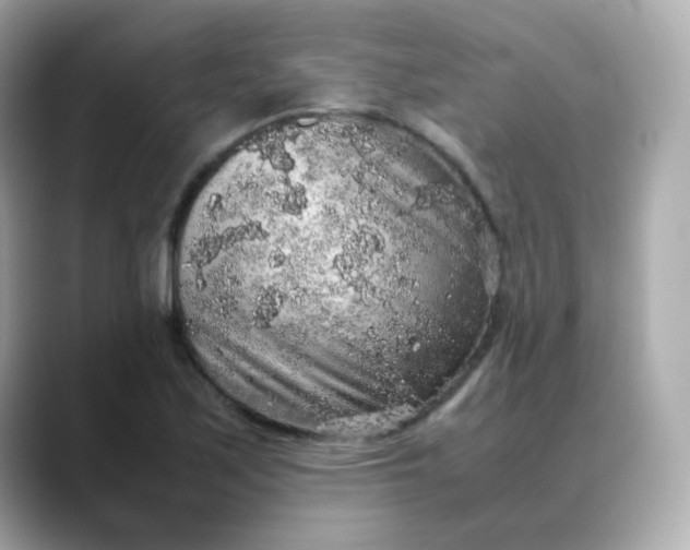 X0000088421171200706051206