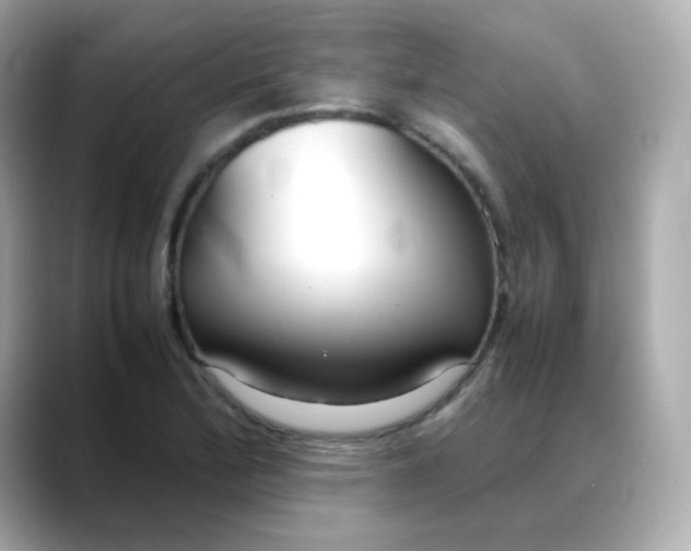 X0000088421172200706051206