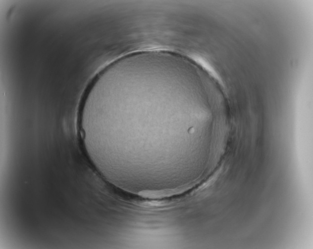 X0000088421173200706051206