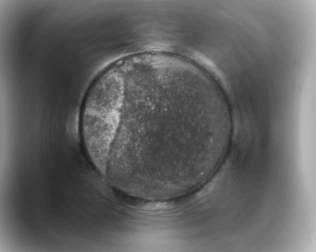 X0000088421174200706051206
