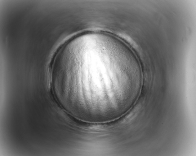 X0000088421175200706051206