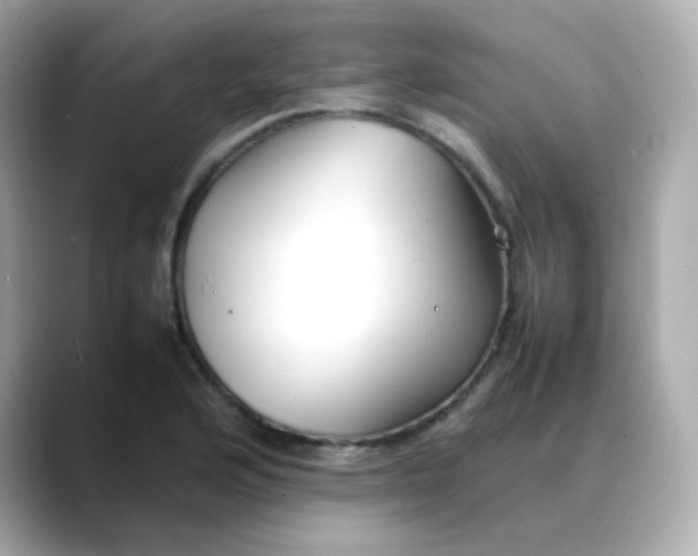 X0000088421176200706051206
