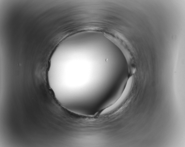X0000088421177200706051206