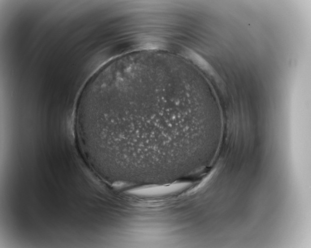 X0000088421178200706051206