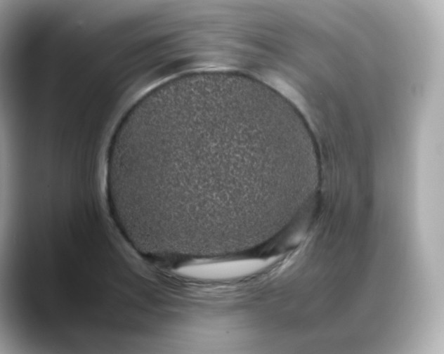 X0000088421179200706051206