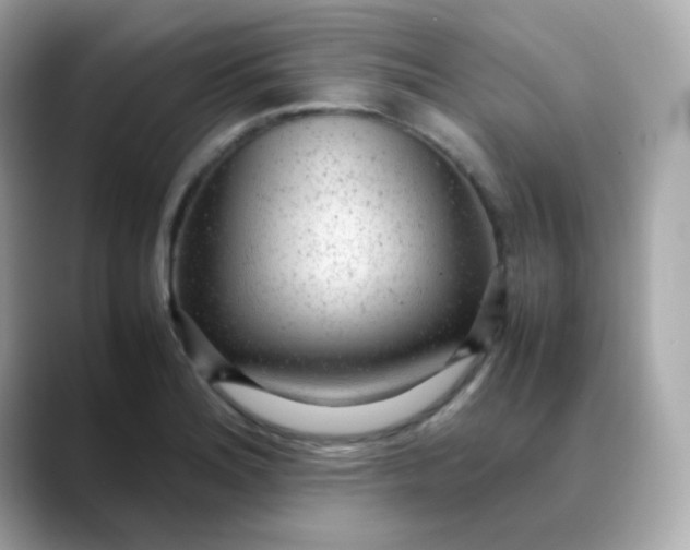 X0000088421180200706051206