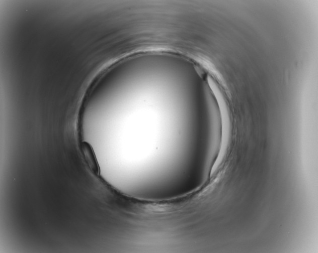 X0000088421181200706051206