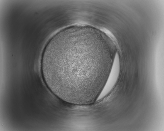 X0000088421183200706051206