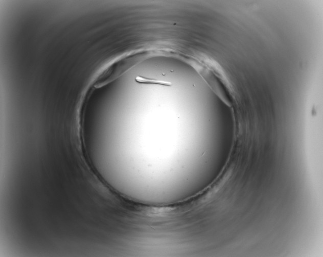 X0000088421184200706051206