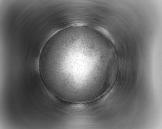 X0000088421186200706051206