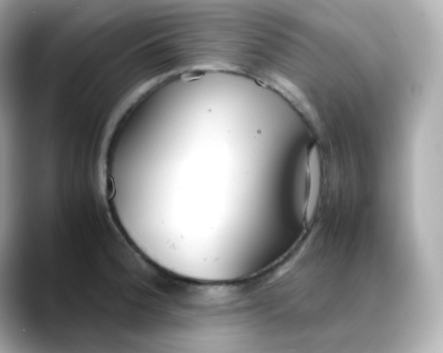 X0000088421188200706051206