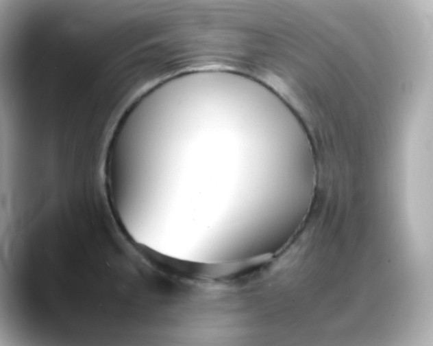 X0000088421189200706051206