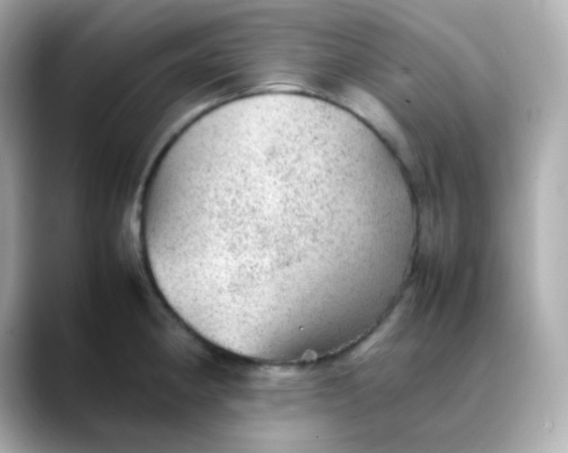X0000088421190200706051206
