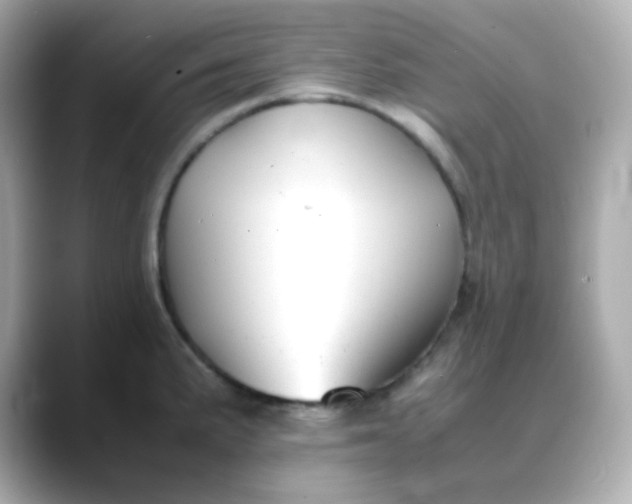 X0000088421191200706051206