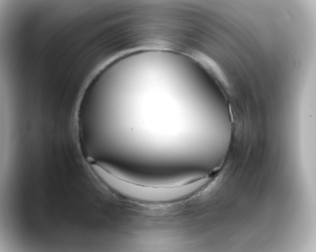 X0000088421192200706051206