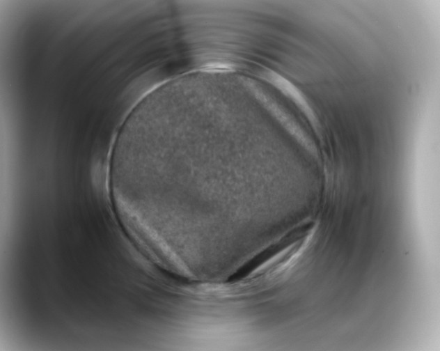 X0000088421194200706051206