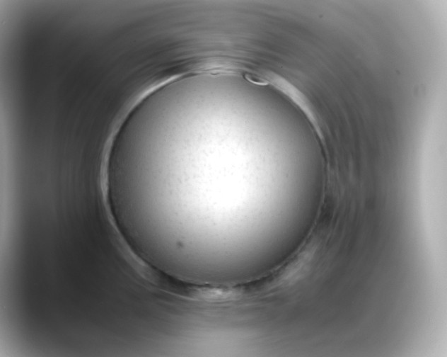 X0000088421195200706051206
