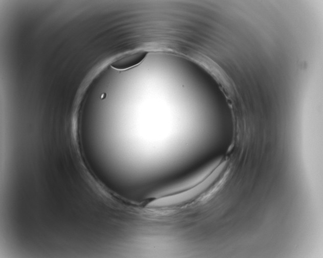 X0000088421196200706051206